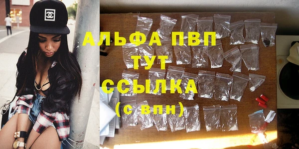 МДПВ Горняк