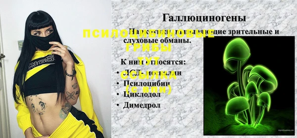 МДПВ Горняк