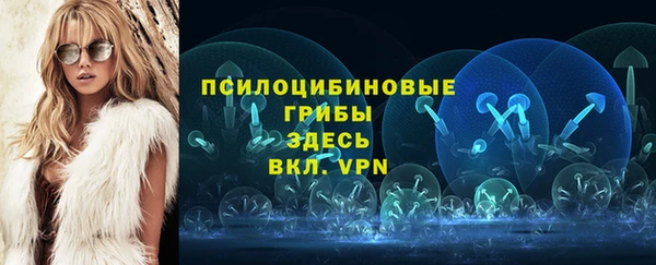МДПВ Горняк